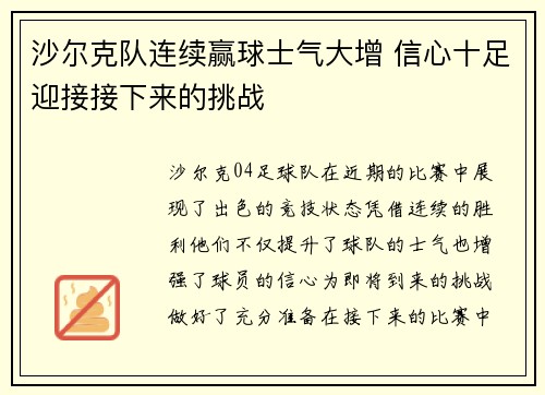 沙尔克队连续赢球士气大增 信心十足迎接接下来的挑战